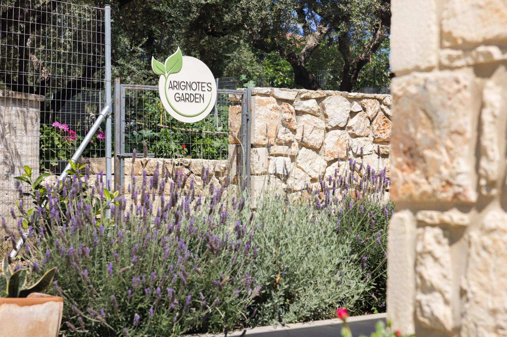 Arignote Suites Laganas Buitenkant foto